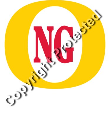 Fosters Logo